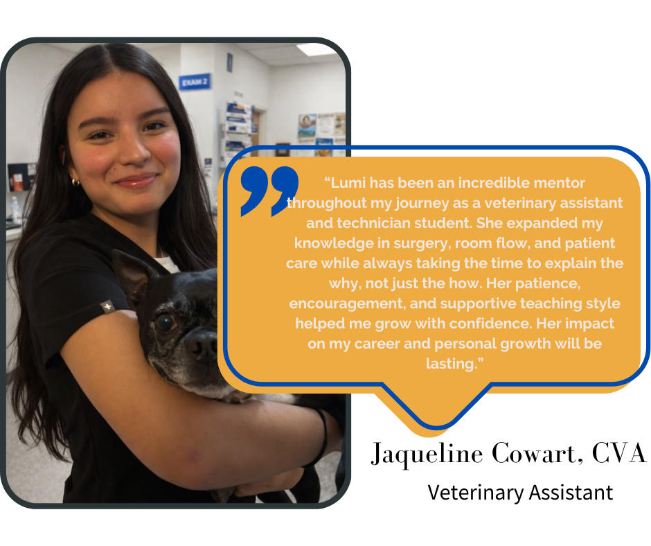 About “lumi taught me anesthesia with clarity and confidence, always emphasizing preparation and patient safety. she helped me understand the why and the physiology behind each concept instead of memori